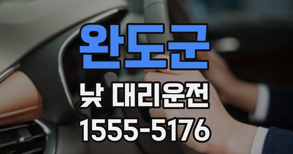 완도군 낮 대리운전