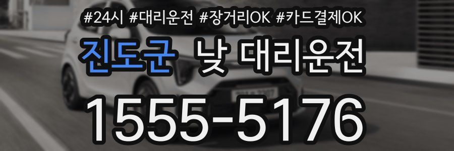 진도군 낮 대리운전