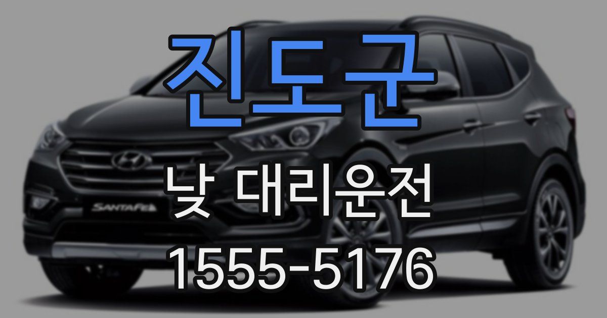 진도군 낮 대리운전