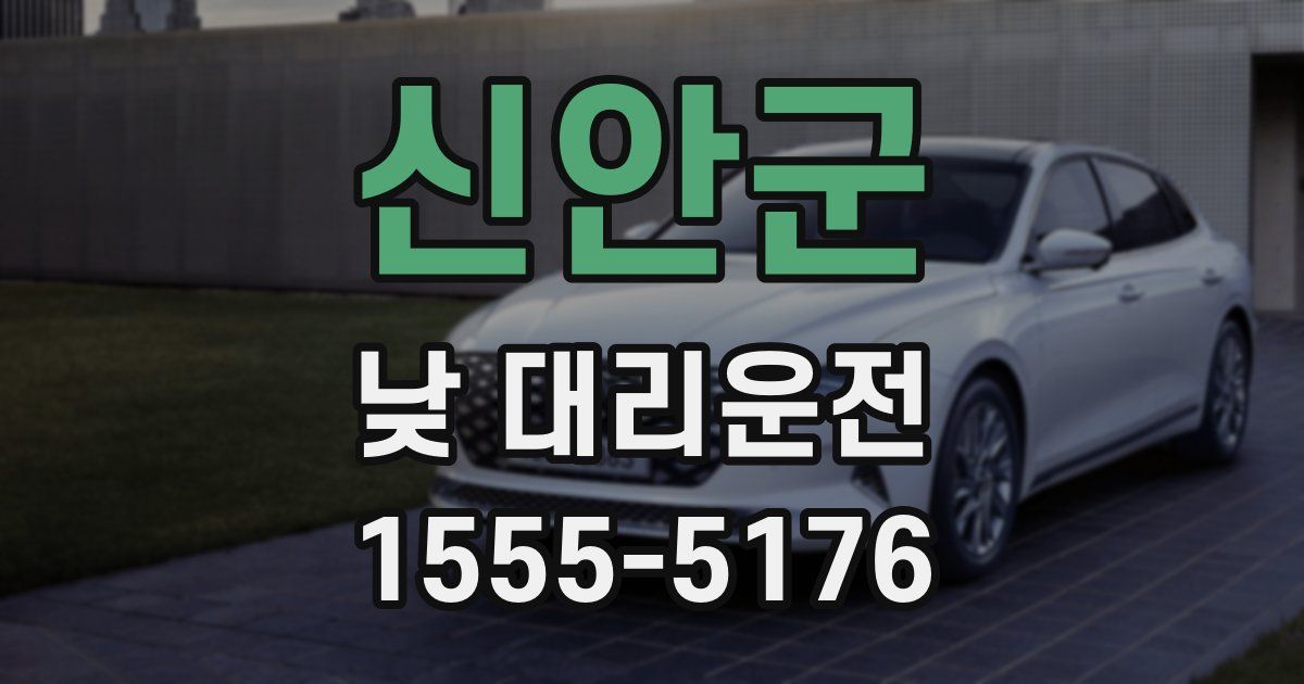 신안군 낮 대리운전