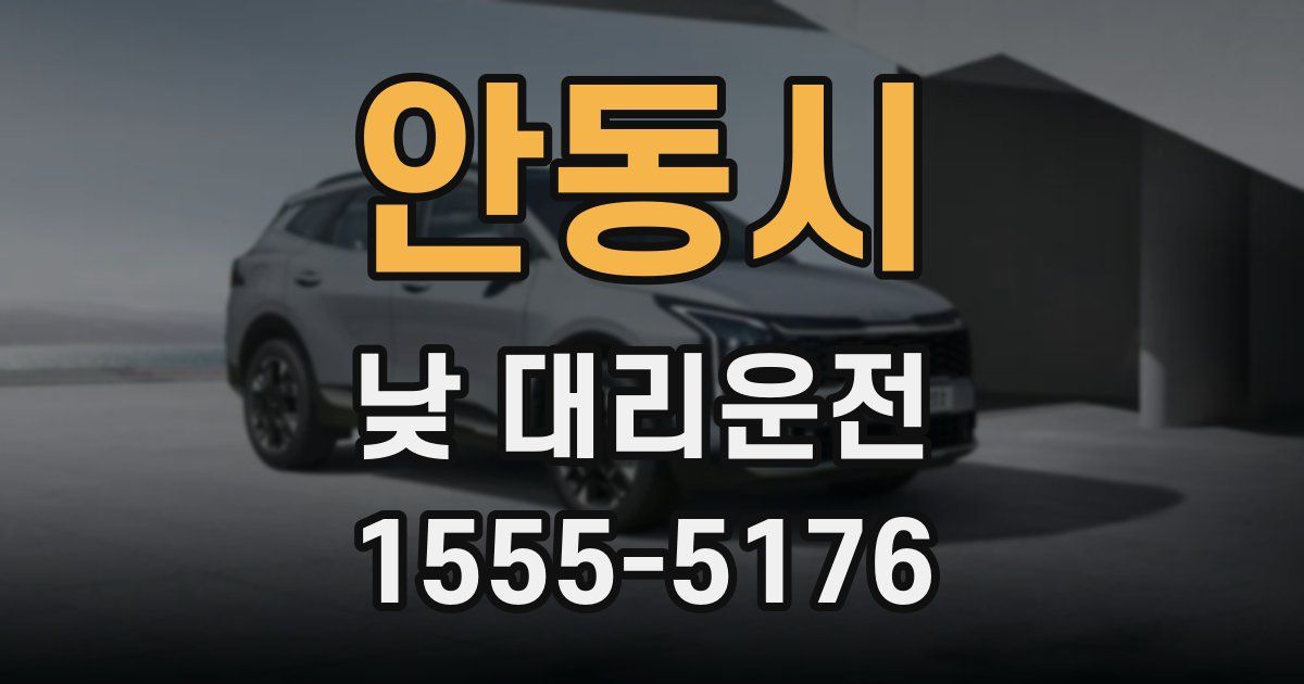 안동시 낮 대리운전