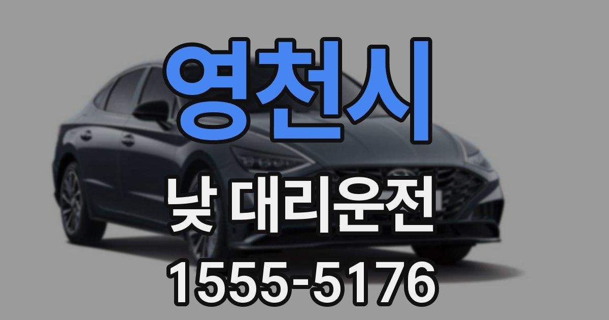 영천시 낮 대리운전