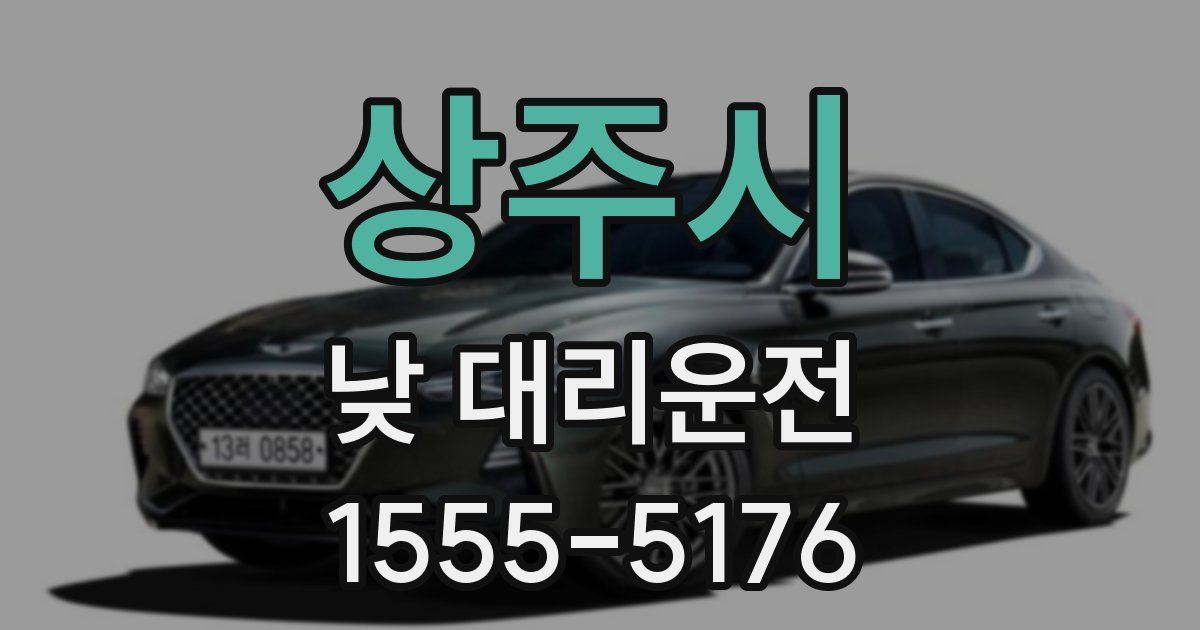 상주시 낮 대리운전