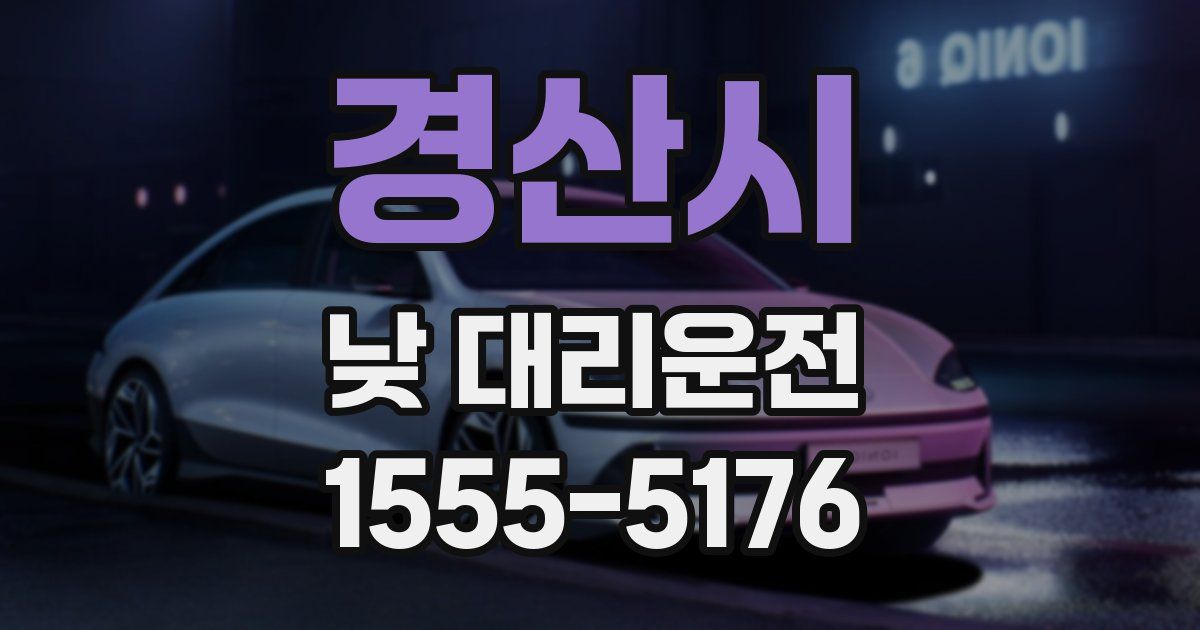 경산시 낮 대리운전