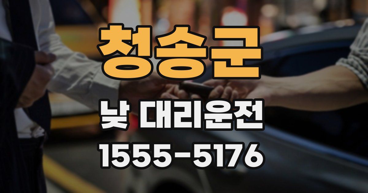 청송군 낮 대리운전
