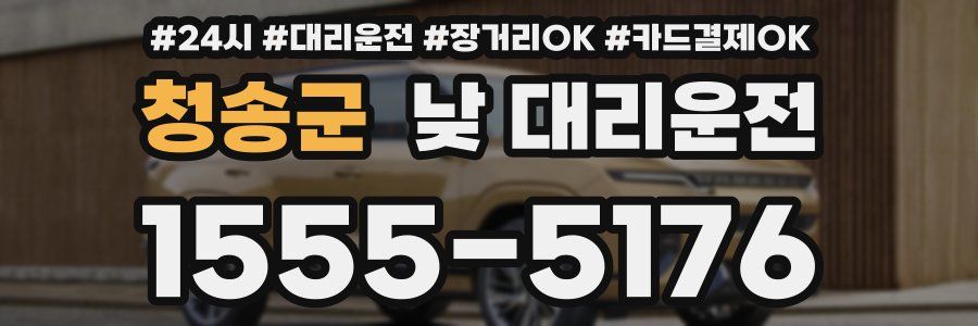 청송군 낮 대리운전