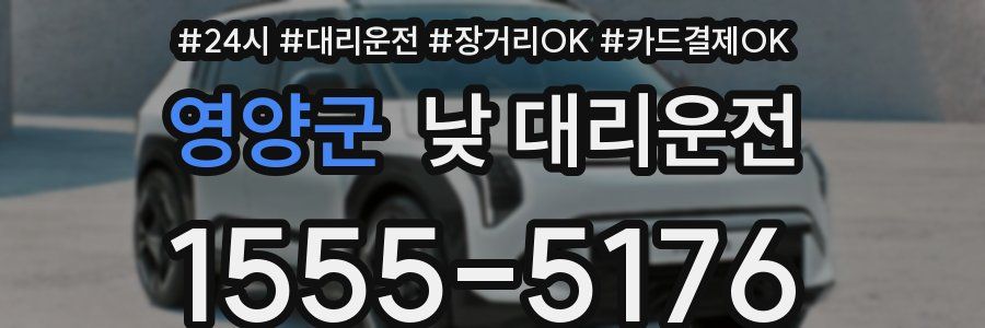 영양군 낮 대리운전