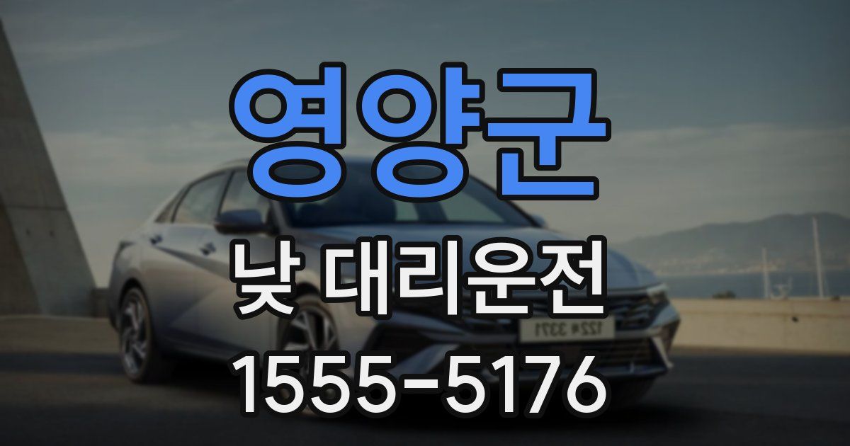 영양군 낮 대리운전