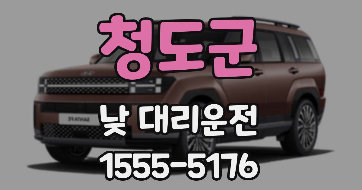 청도군 낮 대리운전