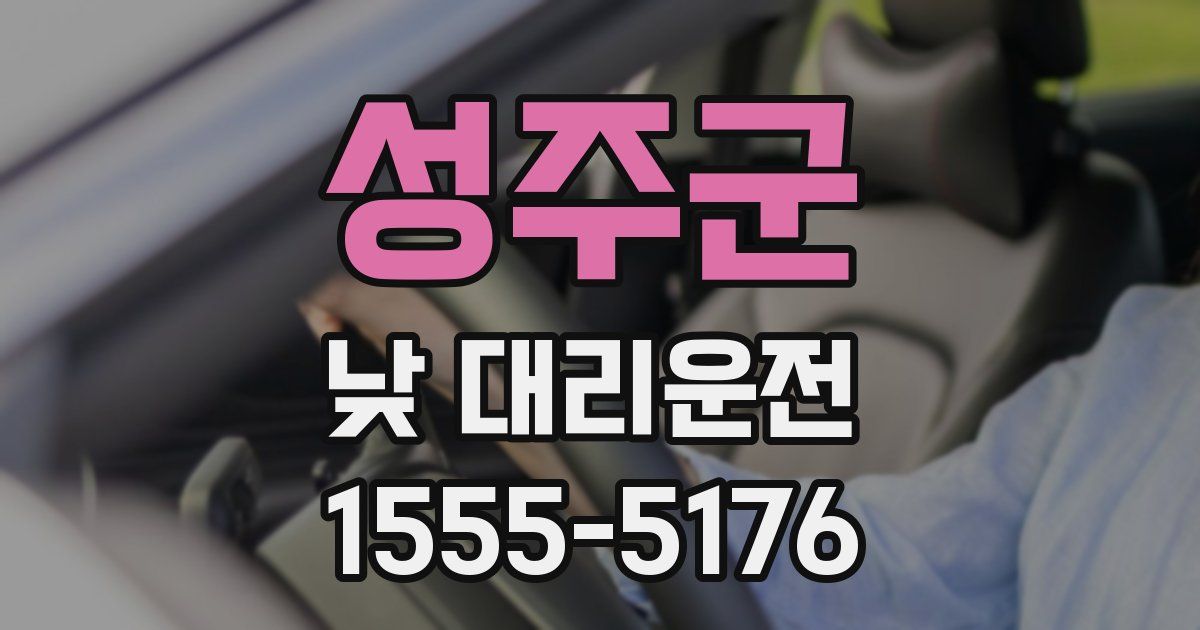 성주군 낮 대리운전