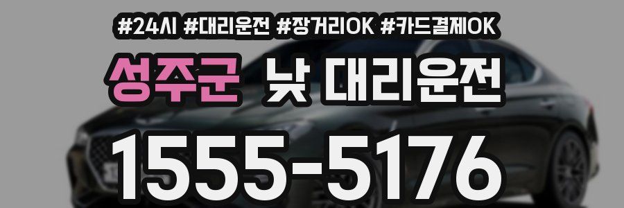 성주군 낮 대리운전