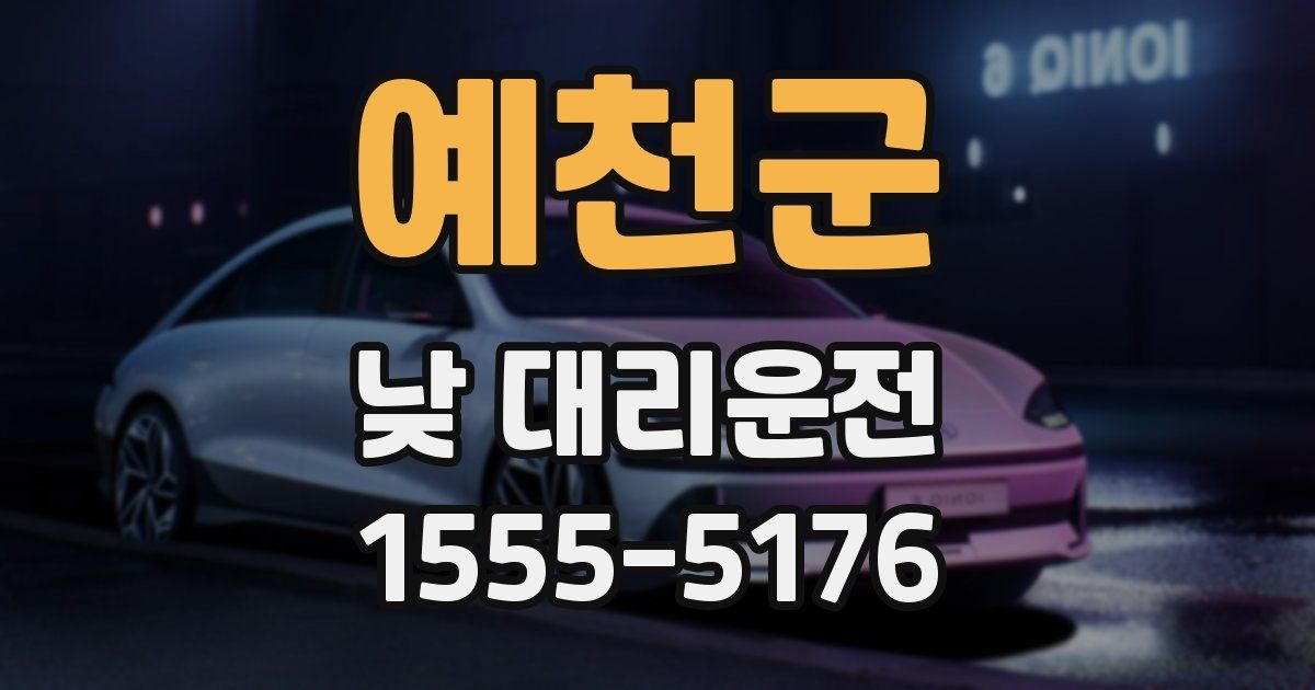 예천군 낮 대리운전