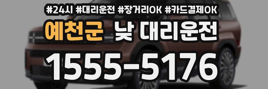 예천군 낮 대리운전