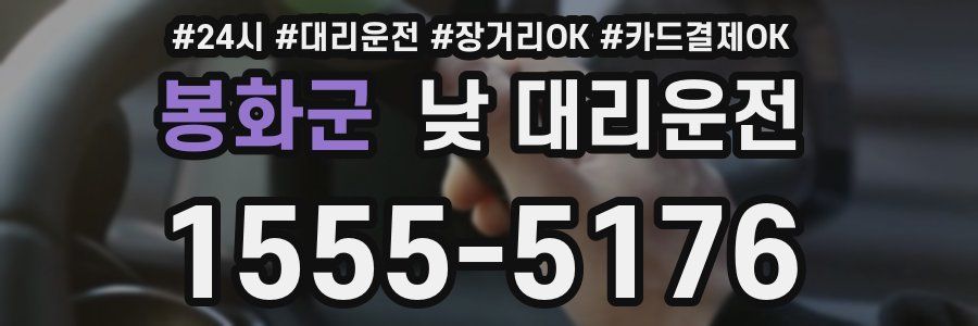 봉화군 낮 대리운전