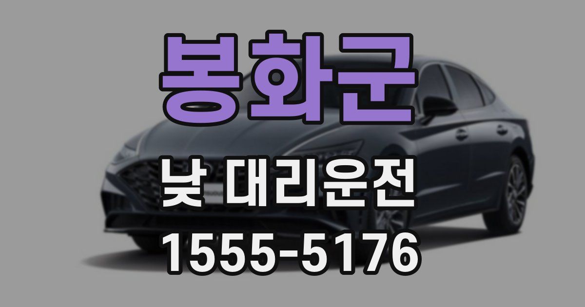봉화군 낮 대리운전