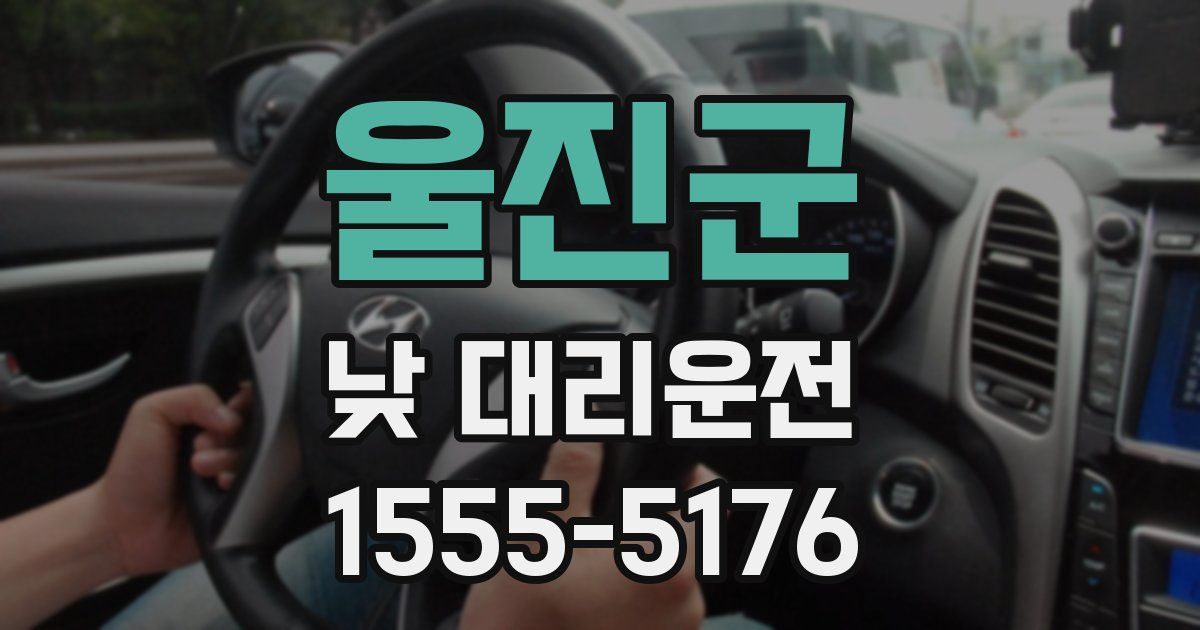 울진군 낮 대리운전