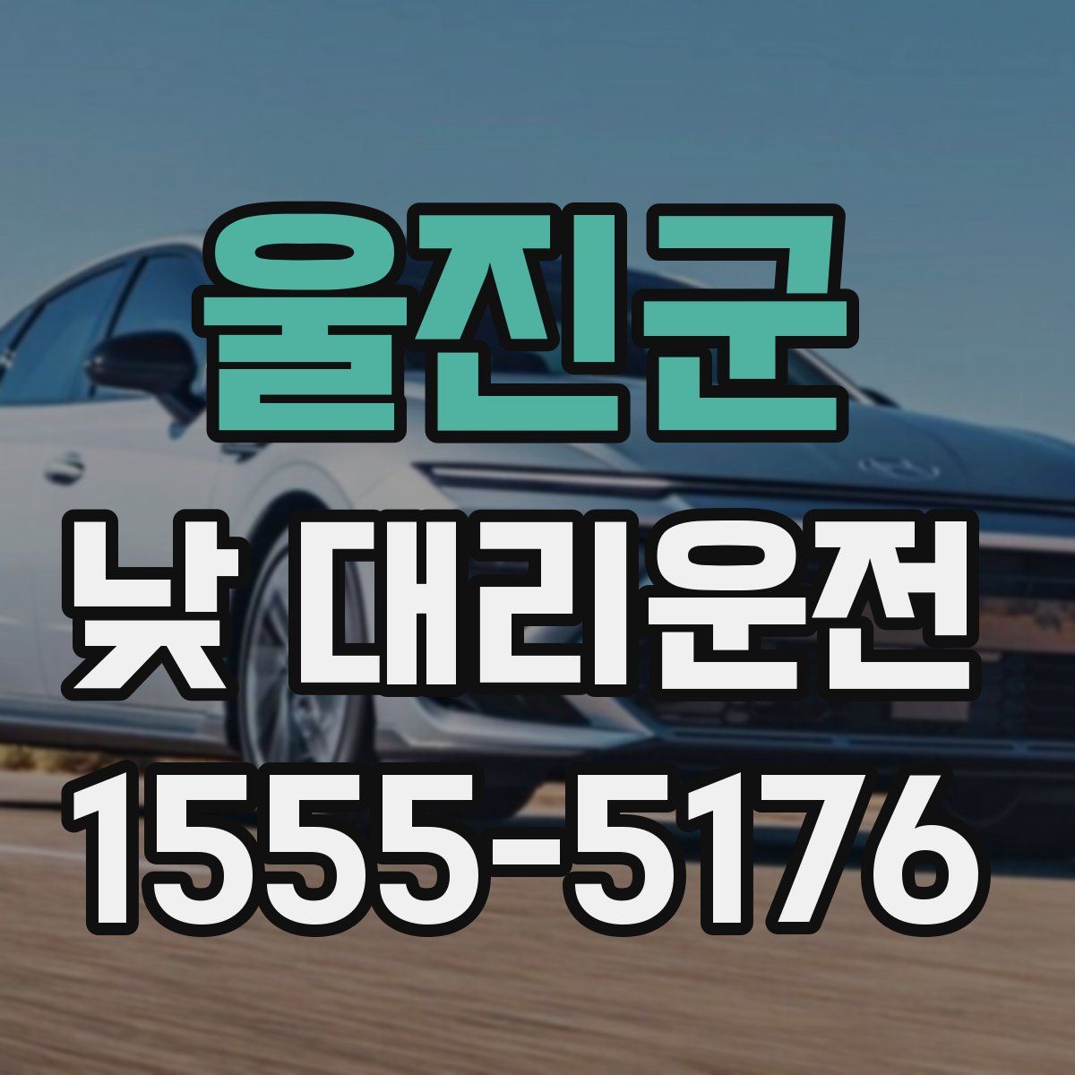 울진군 낮 대리운전