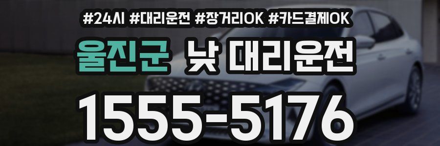 울진군 낮 대리운전