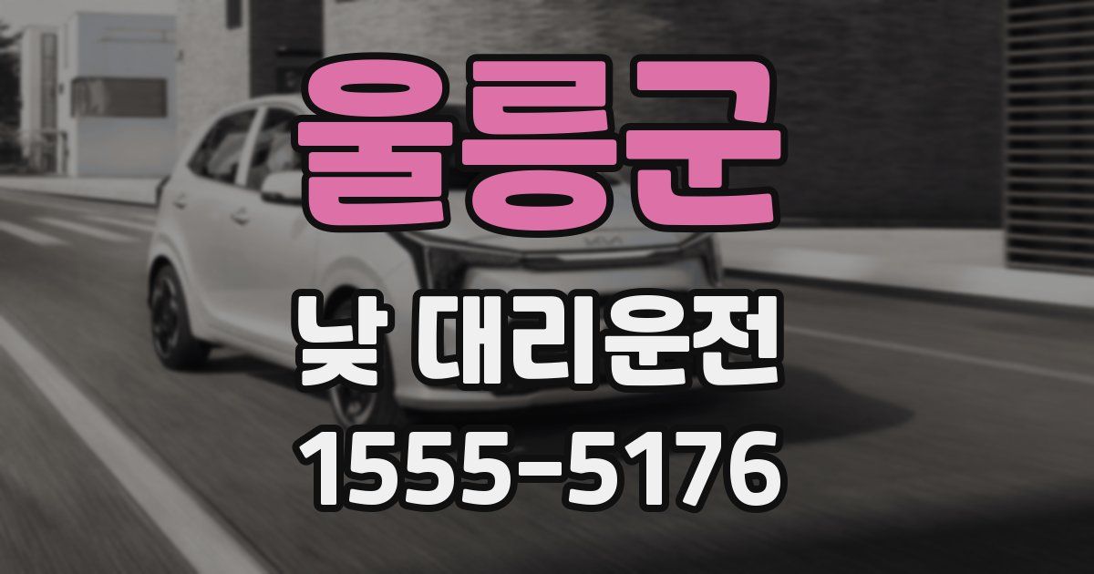 울릉군 낮 대리운전