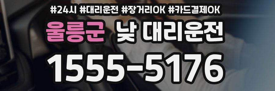 울릉군 낮 대리운전