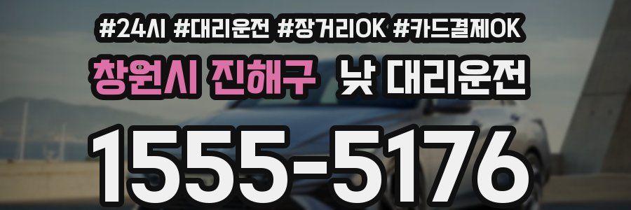 창원시 진해구 낮 대리운전