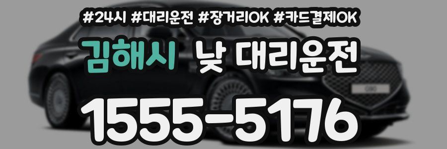 김해시 낮 대리운전