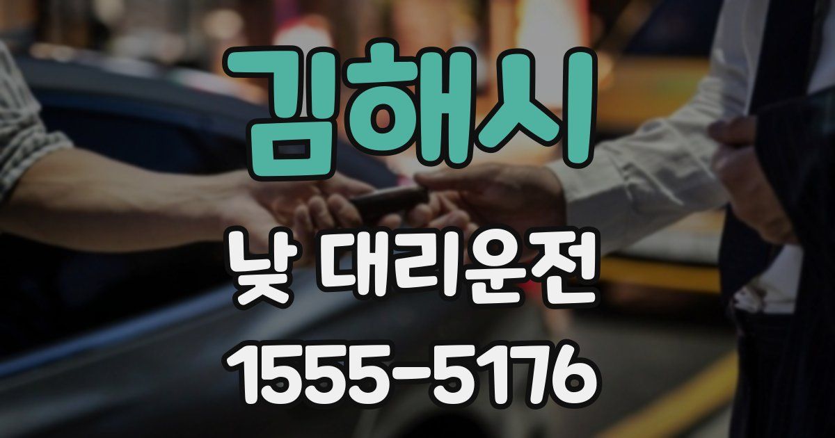 김해시 낮 대리운전