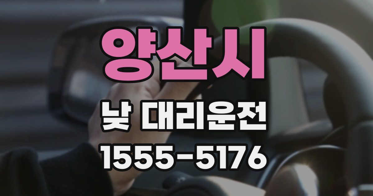 양산시 낮 대리운전