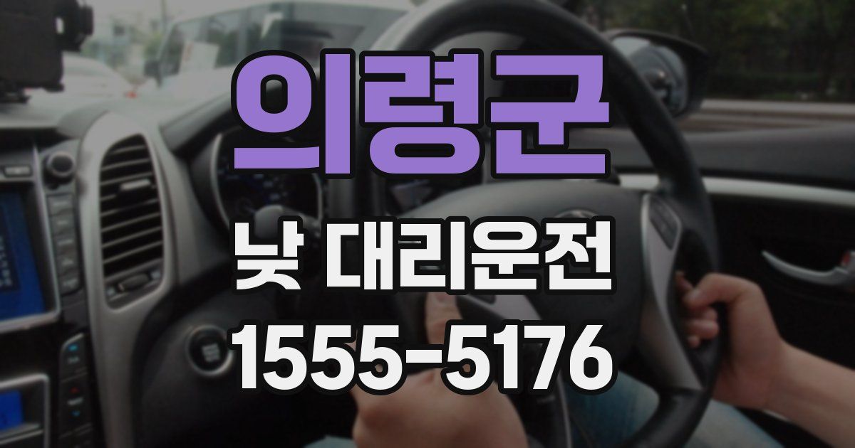 의령군 낮 대리운전