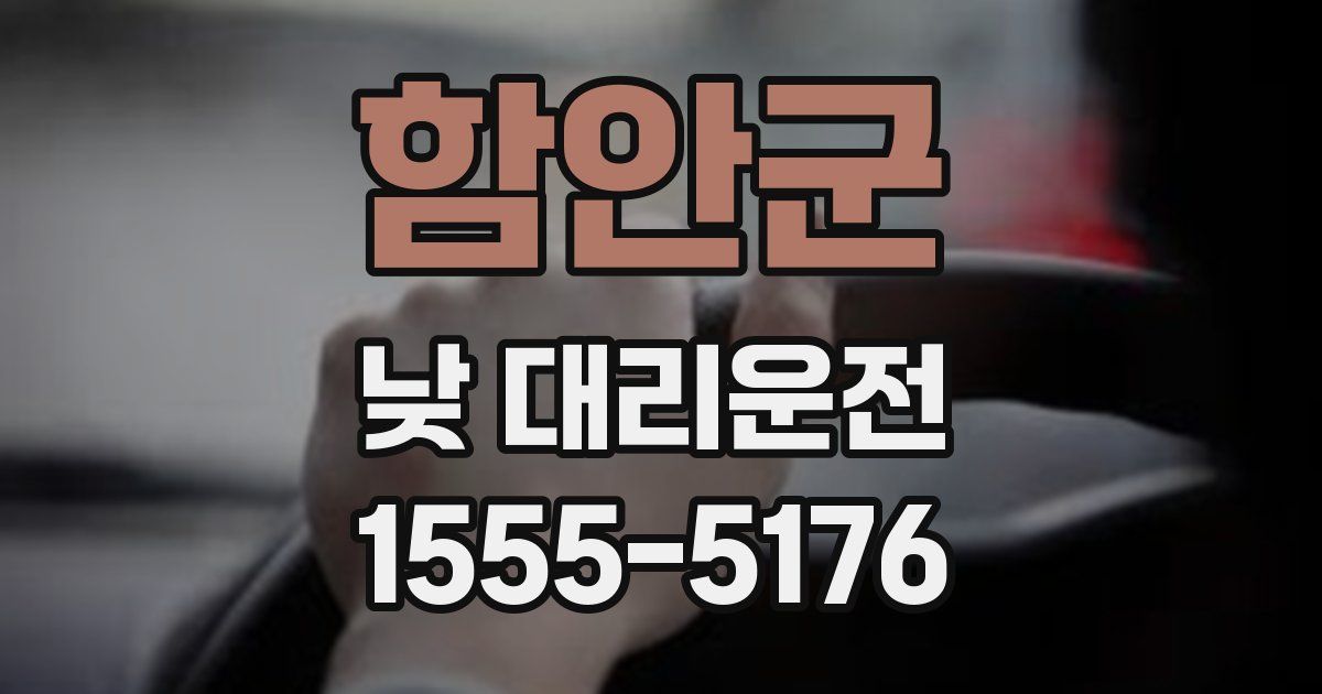함안군 낮 대리운전