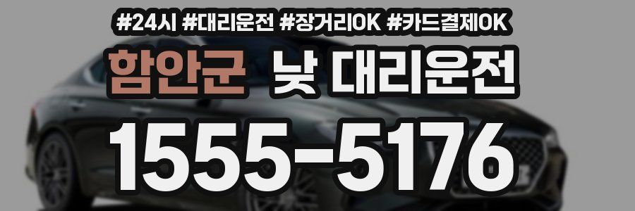 함안군 낮 대리운전