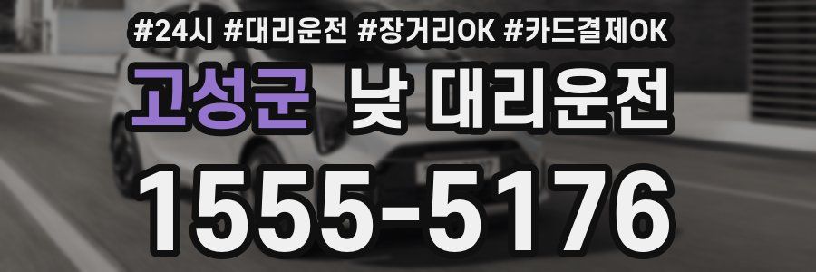 고성군 낮 대리운전