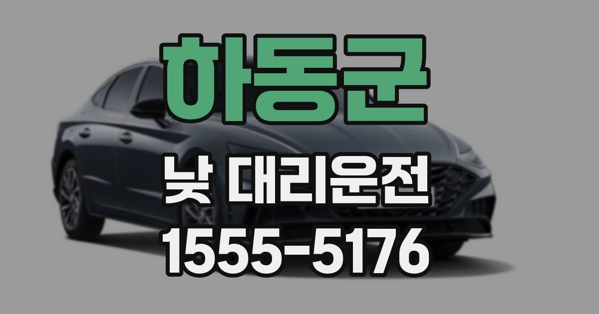 하동군 낮 대리운전