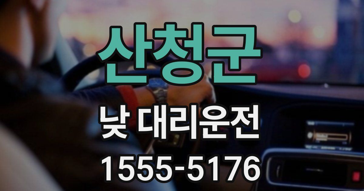 산청군 낮 대리운전