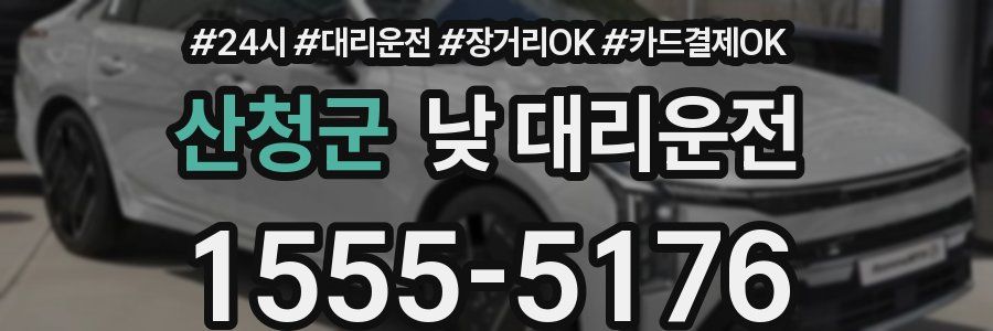 산청군 낮 대리운전