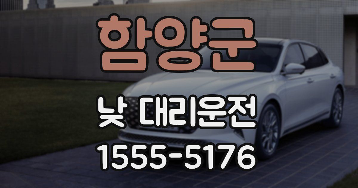 함양군 낮 대리운전