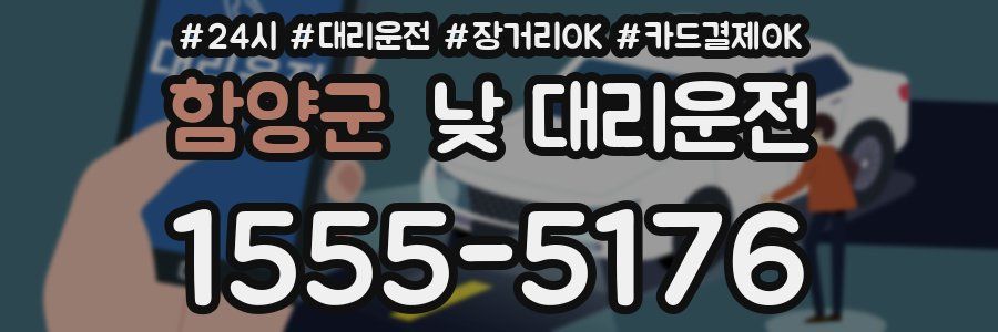 함양군 낮 대리운전