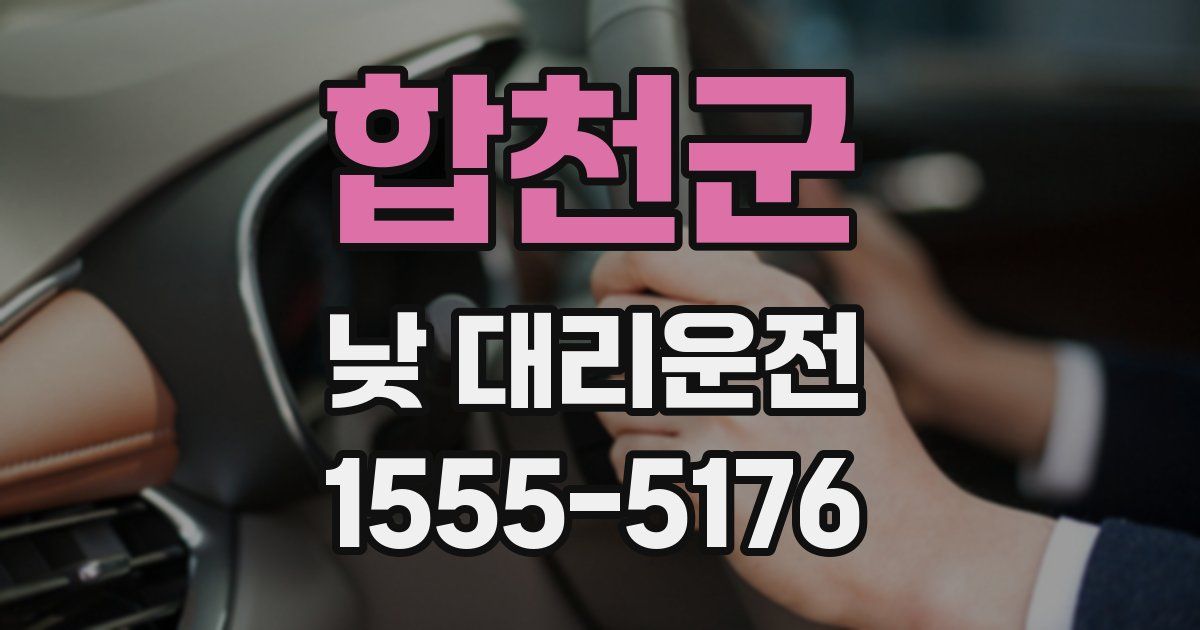 합천군 낮 대리운전