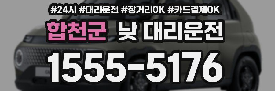 합천군 낮 대리운전