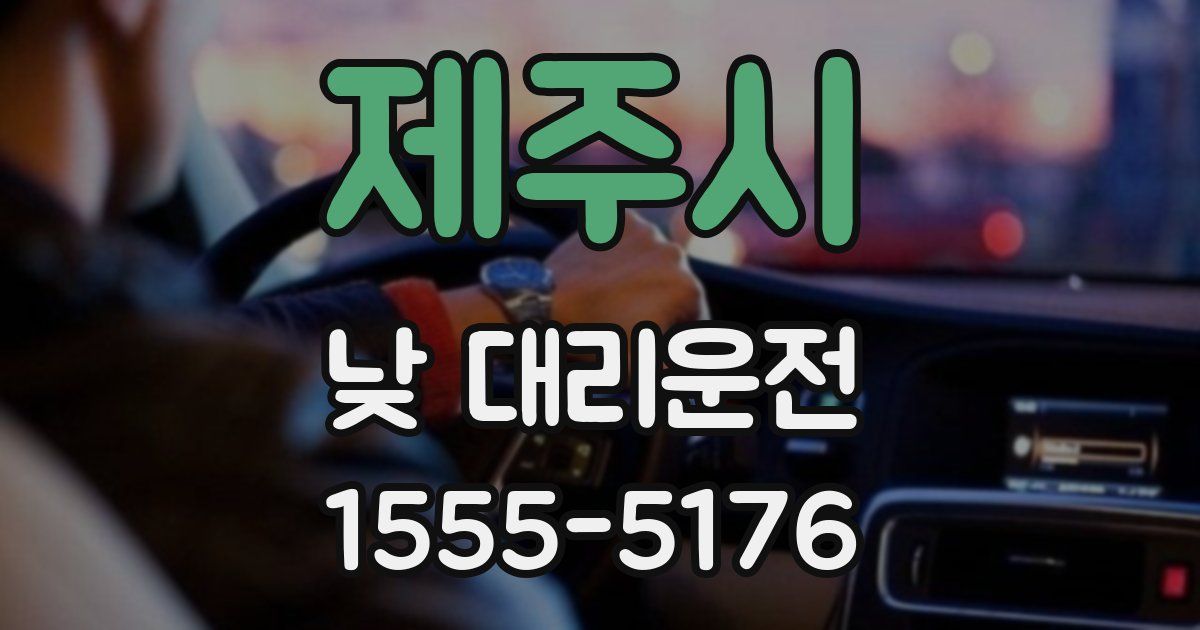 제주시 낮 대리운전