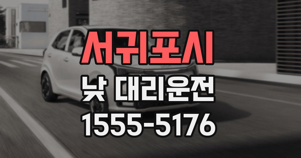 서귀포시 낮 대리운전