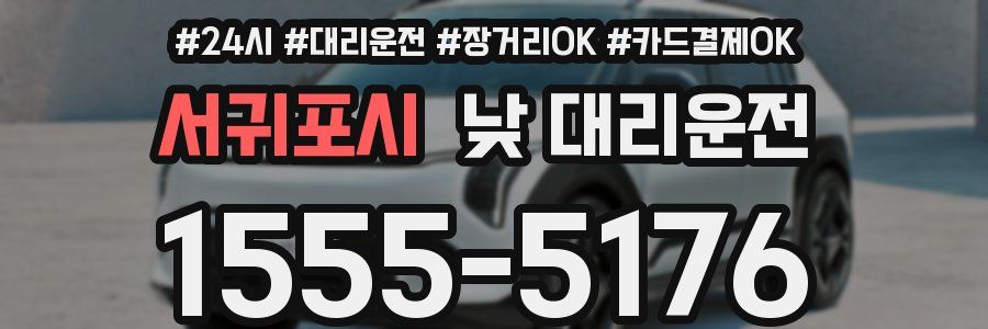 서귀포시 낮 대리운전
