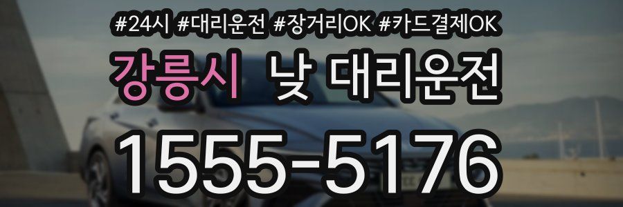 강릉시 낮 대리운전