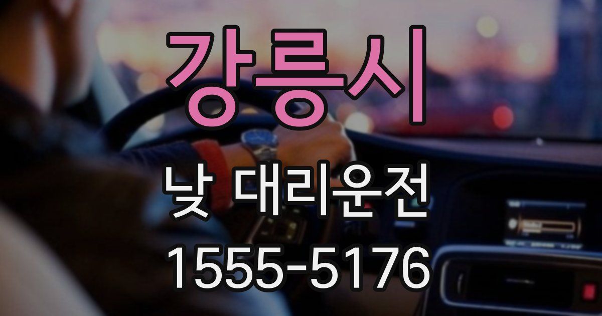 강릉시 낮 대리운전