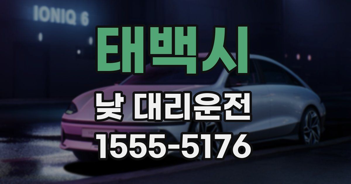 태백시 낮 대리운전