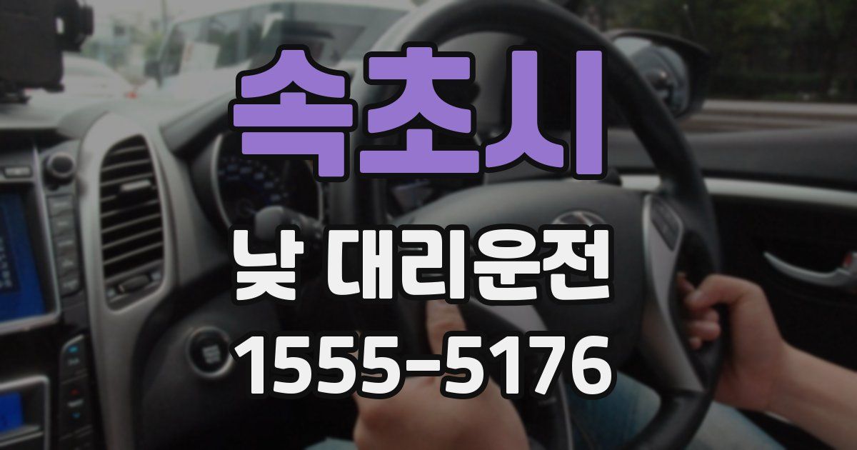 속초시 낮 대리운전