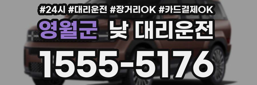 영월군 낮 대리운전