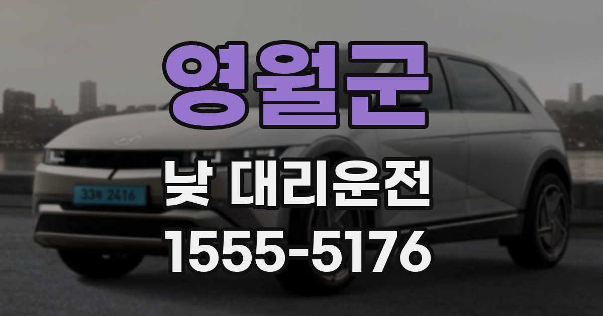 영월군 낮 대리운전