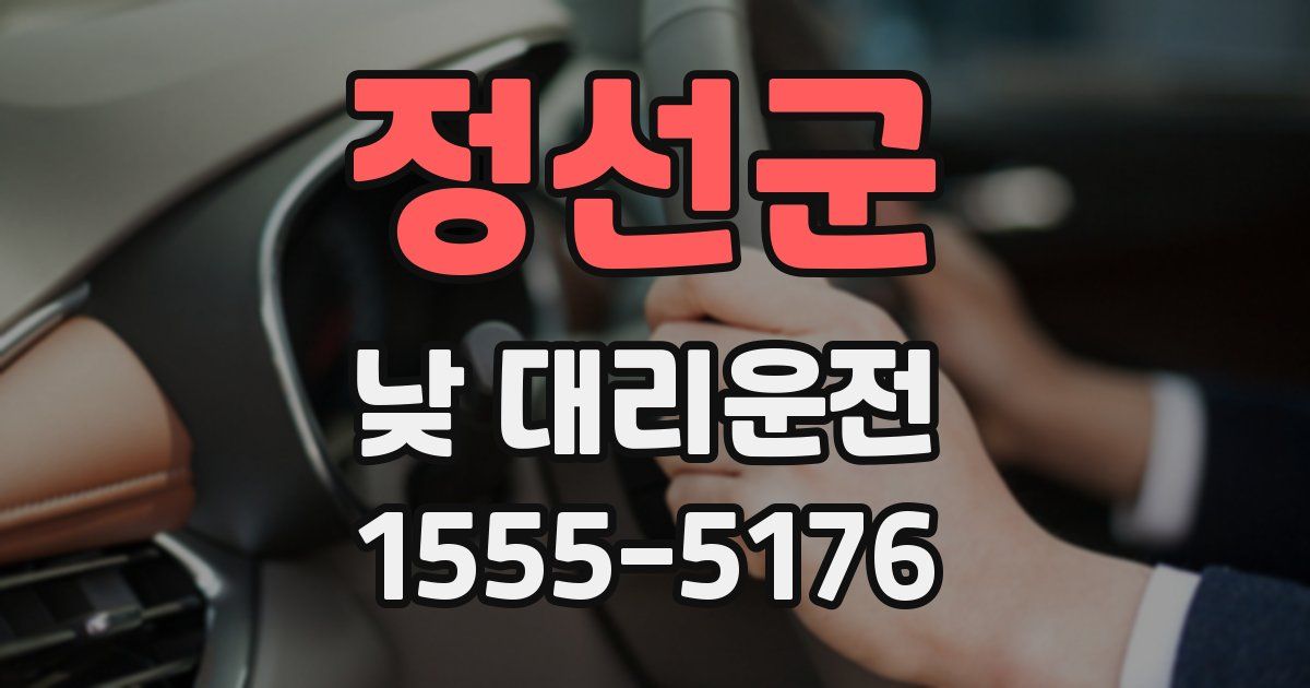 정선군 낮 대리운전