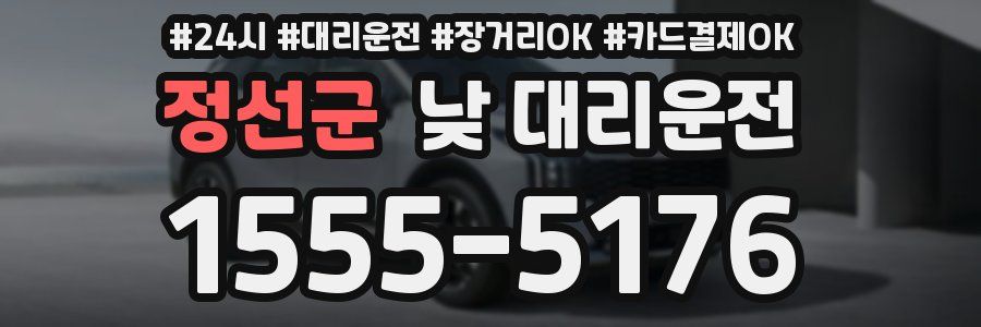정선군 낮 대리운전